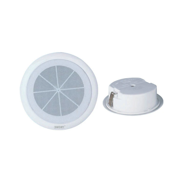 Speakers For Ceiling in House